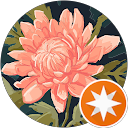 Rocio R. profile picture